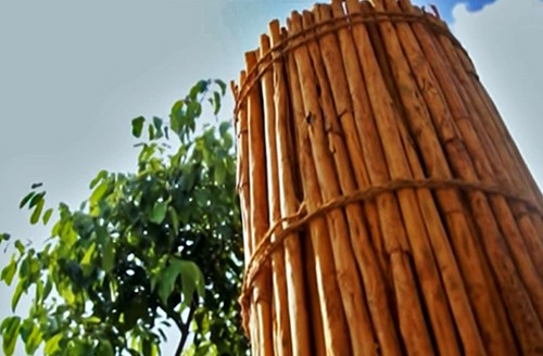 Cinnamon-stick cinnamon stick