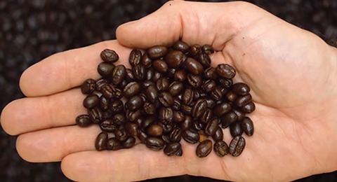 tanzanian-peaberry-coffee tanzanian peaberry coffee