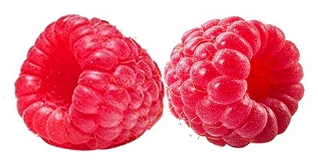 Raspberry-for-coffee raspberry for coffee