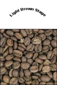 Coffee beans roast level at light brown stage