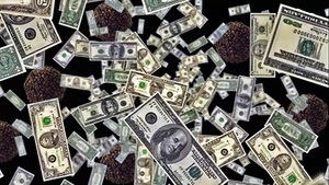 Why is blue mountain coffee expensive