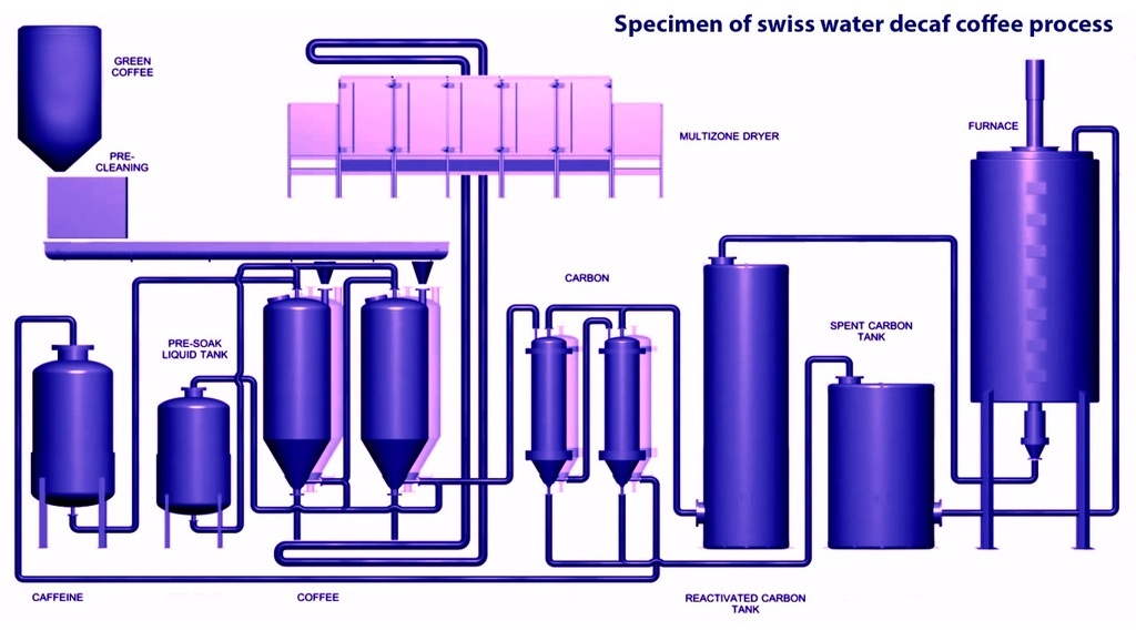 Swiss water decaf coffee process specimen