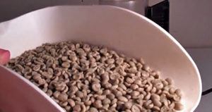 costa rican Tarrazu Coffee