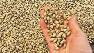 Ethiopian Yirgacheffe coffee