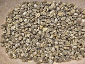 puerto rican coffee beans 