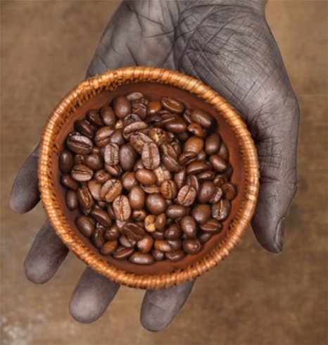 best coffee beans sample